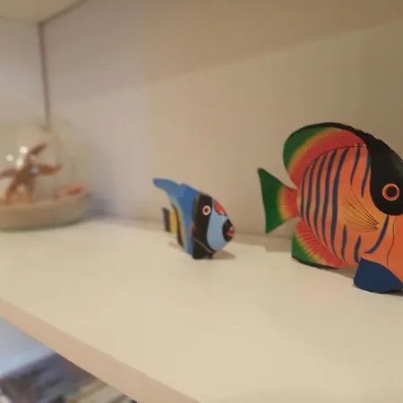 Descanso Do Sar דירה *