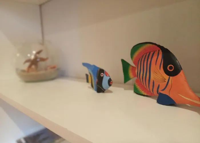 Descanso Do Sar Apartament *